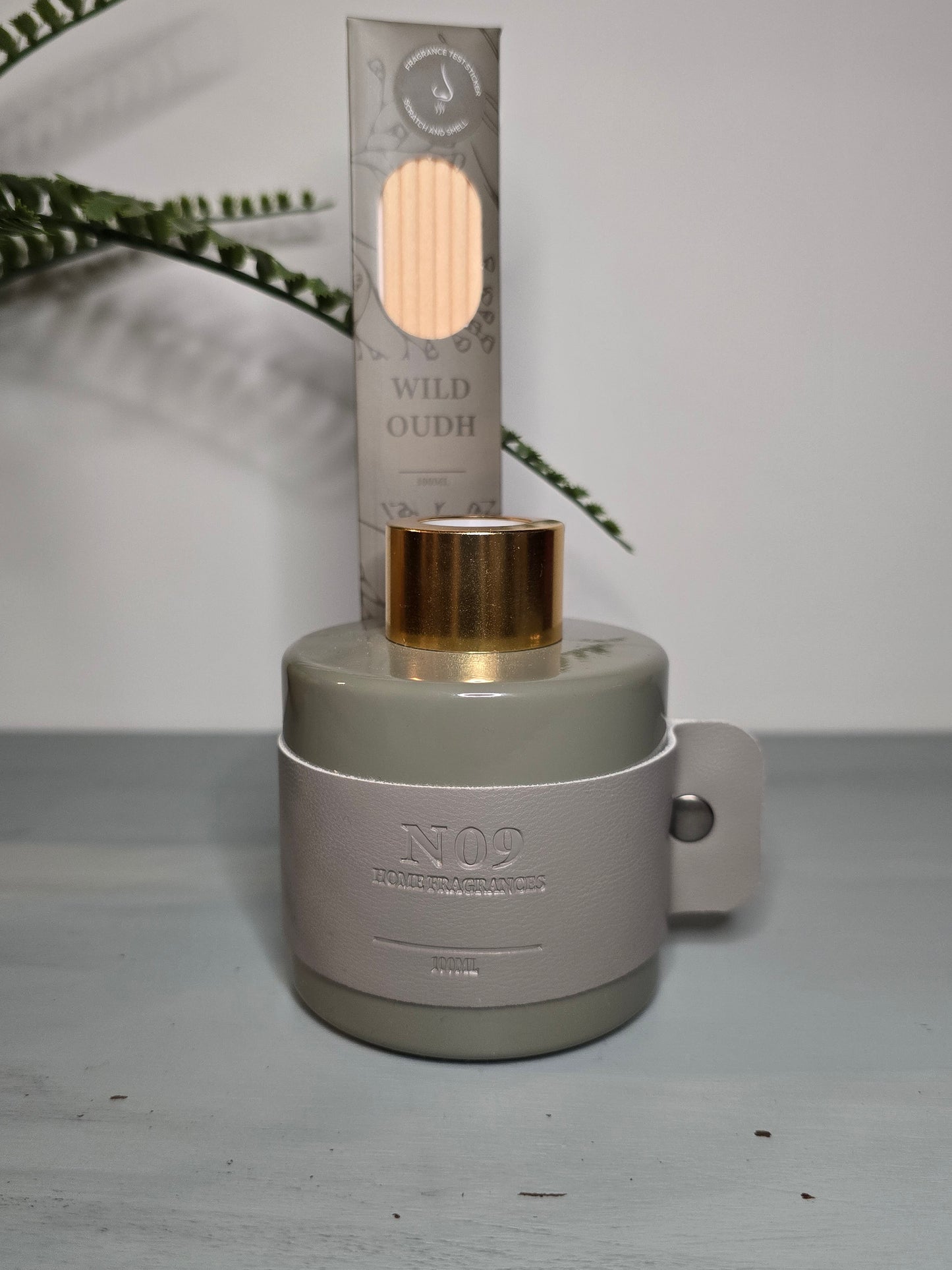 Wild Oudh Fragrance Diffuser – Minimalism & Elegance (100ml)
