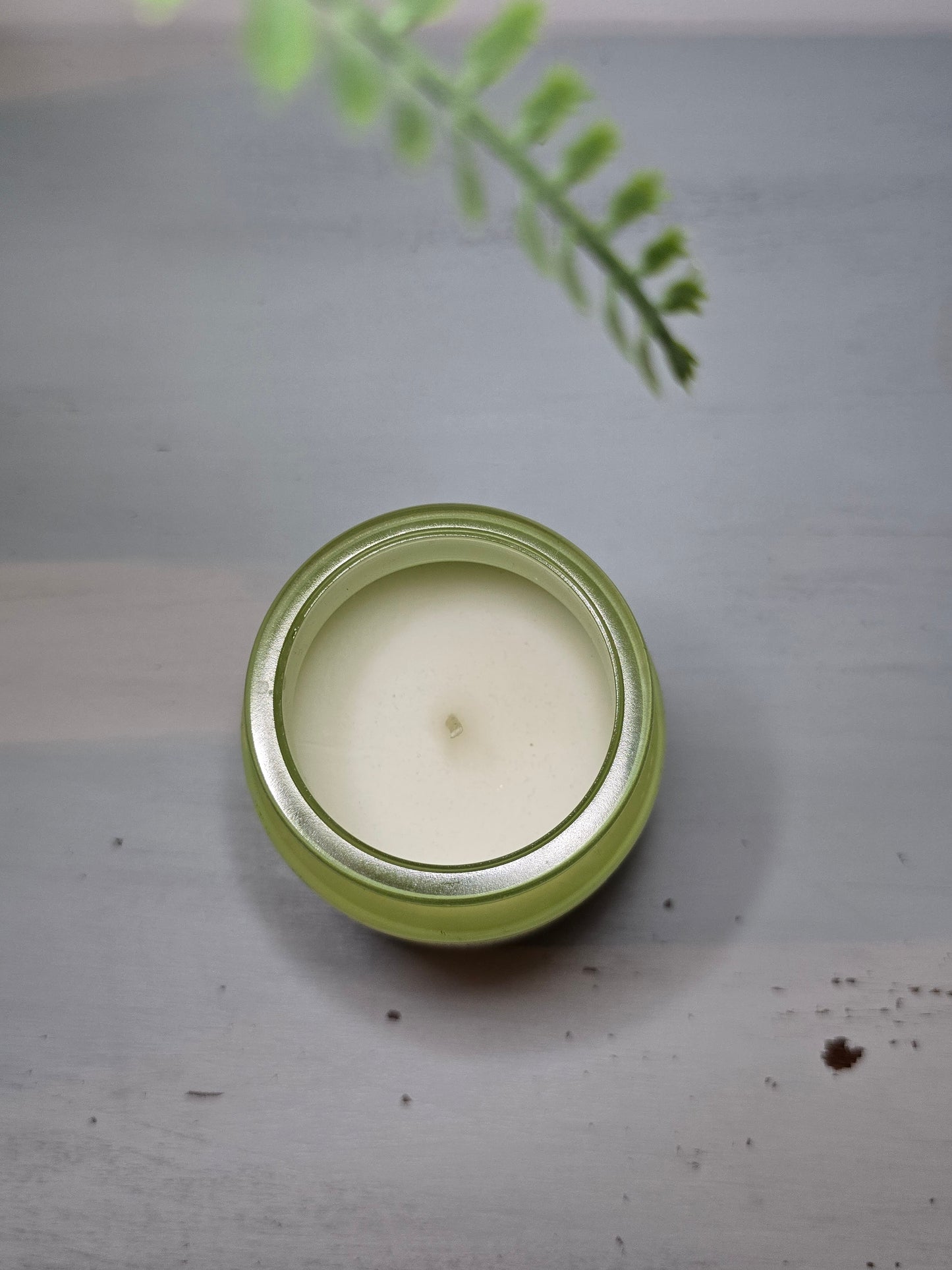 Bougie Parfumée “Ivy & Pine” – Fraîcheur du Lierre & Chaleur du Pin