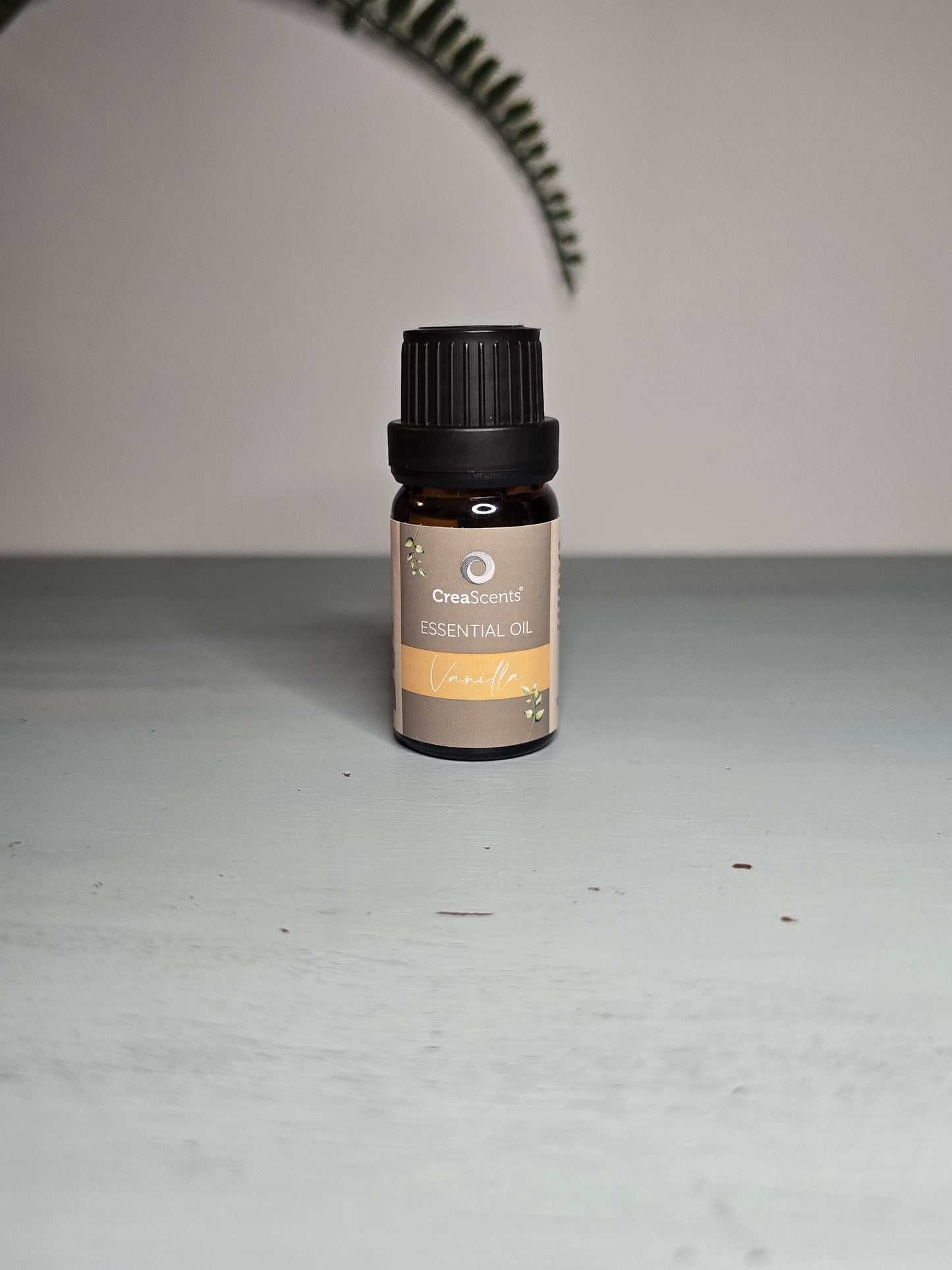 Essential Oil - Vanilla